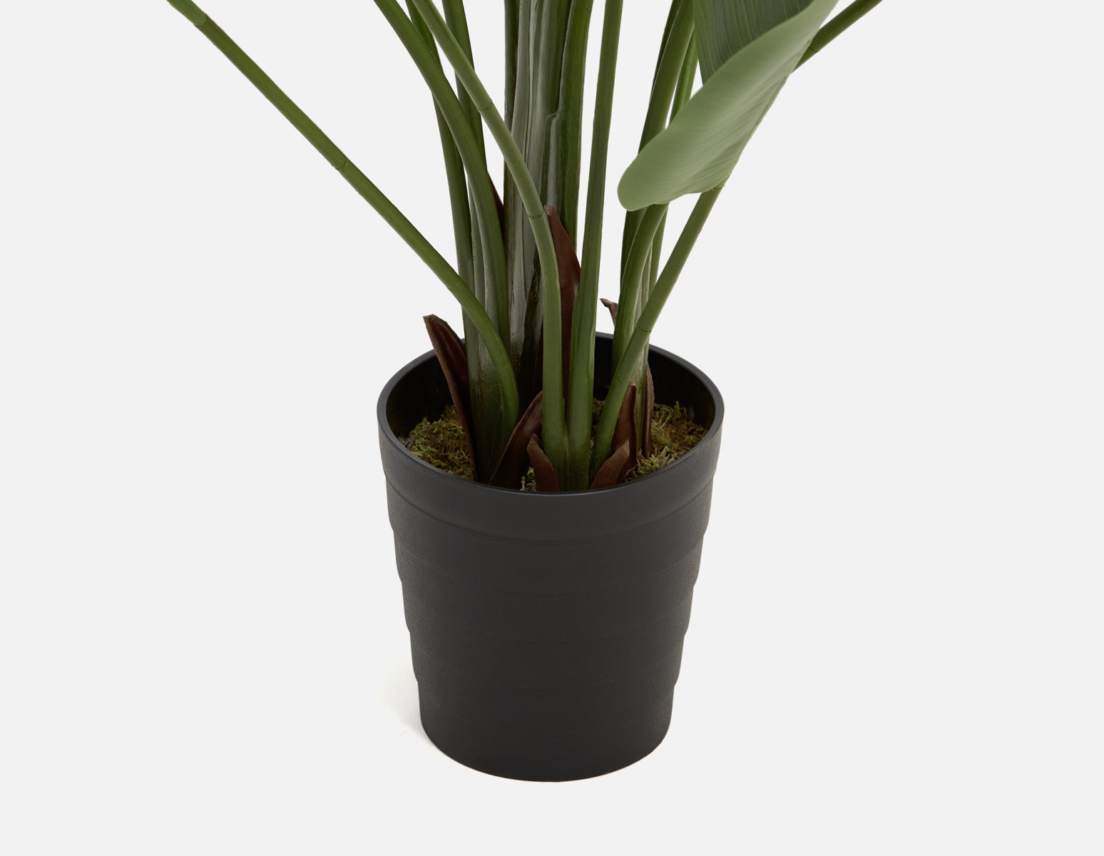 VERTO plante artificielle en pot 210 cm undefined