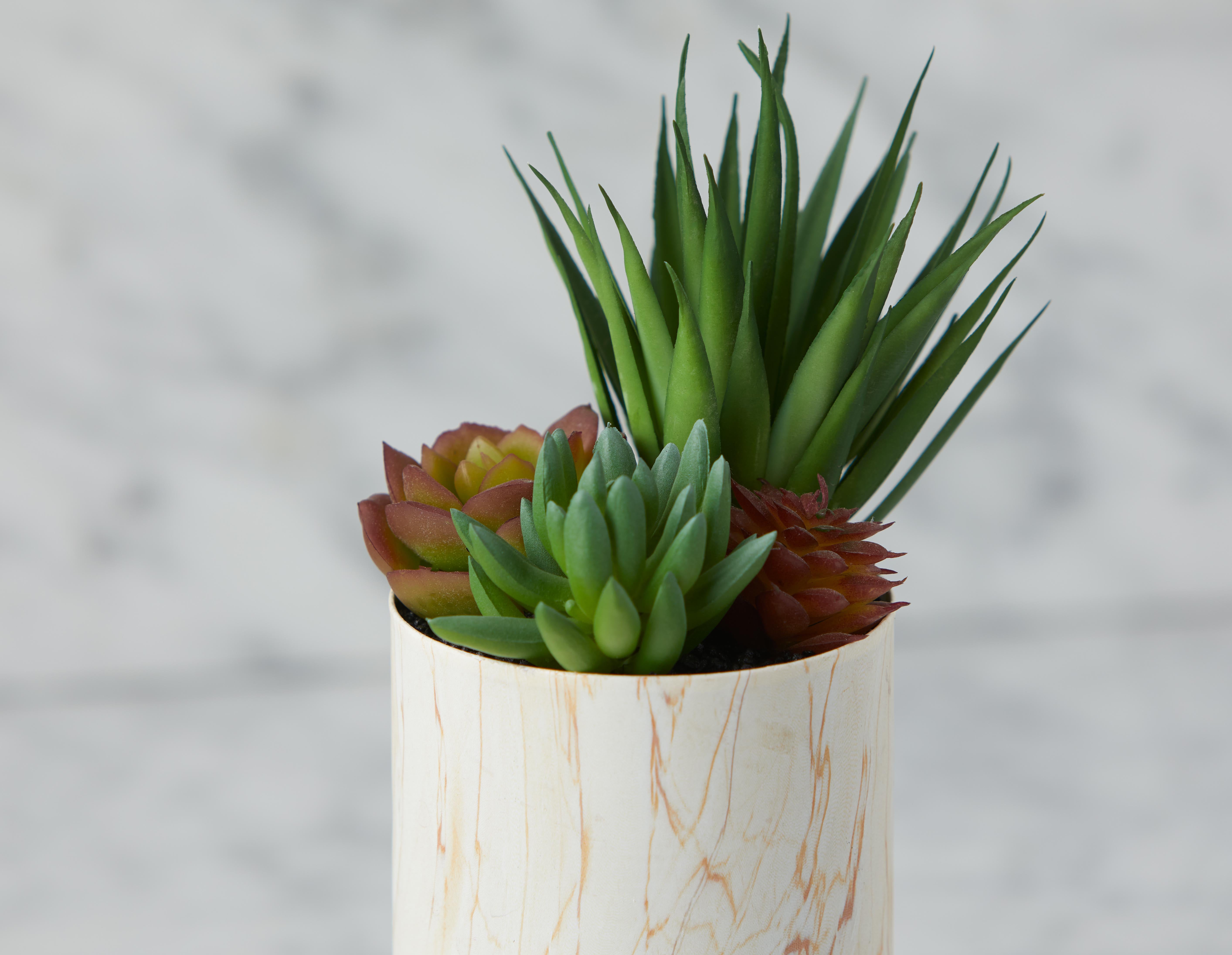 TAWNEY plante artificielle en pot 25 cm undefined
