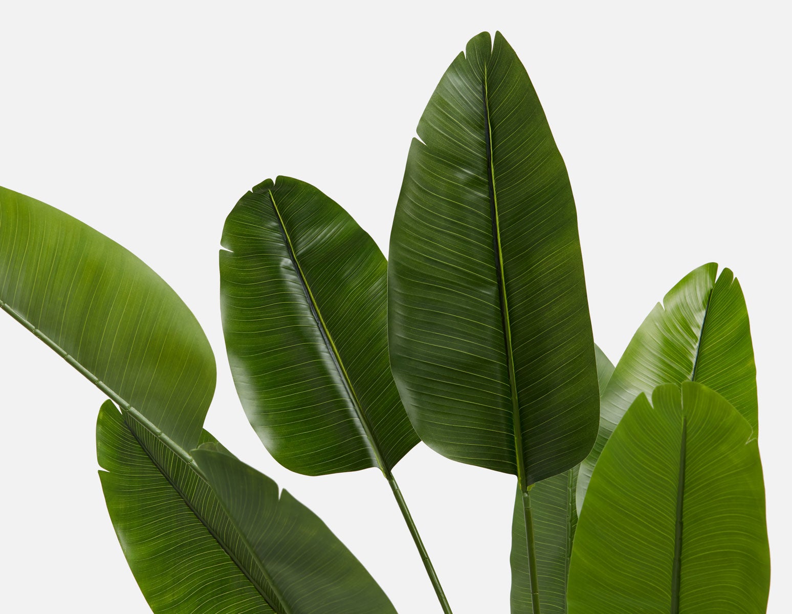 VERTO plante artificielle en pot 210 cm undefined