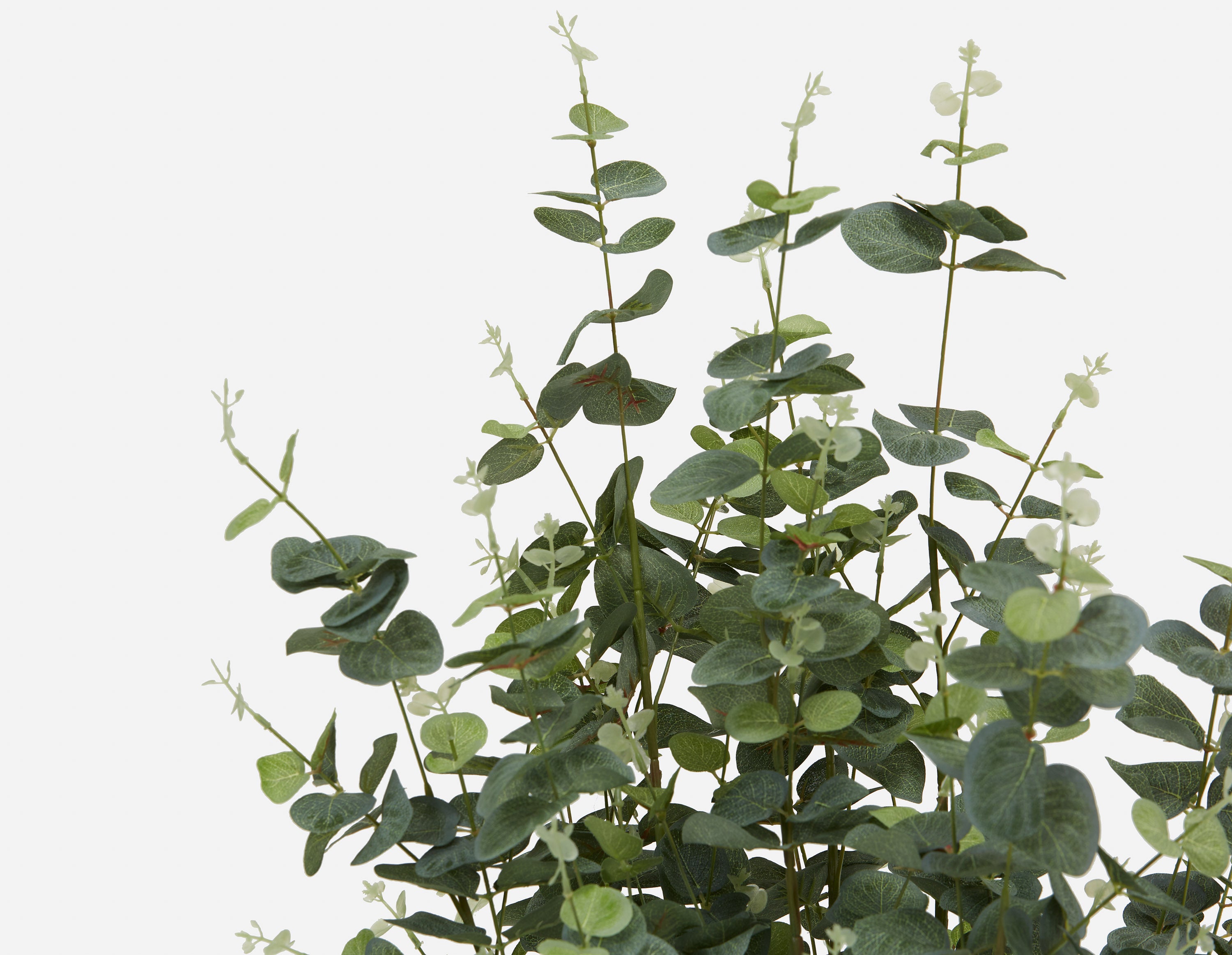 EUCALYPTUS IV plante artificielle en pot 125cm undefined
