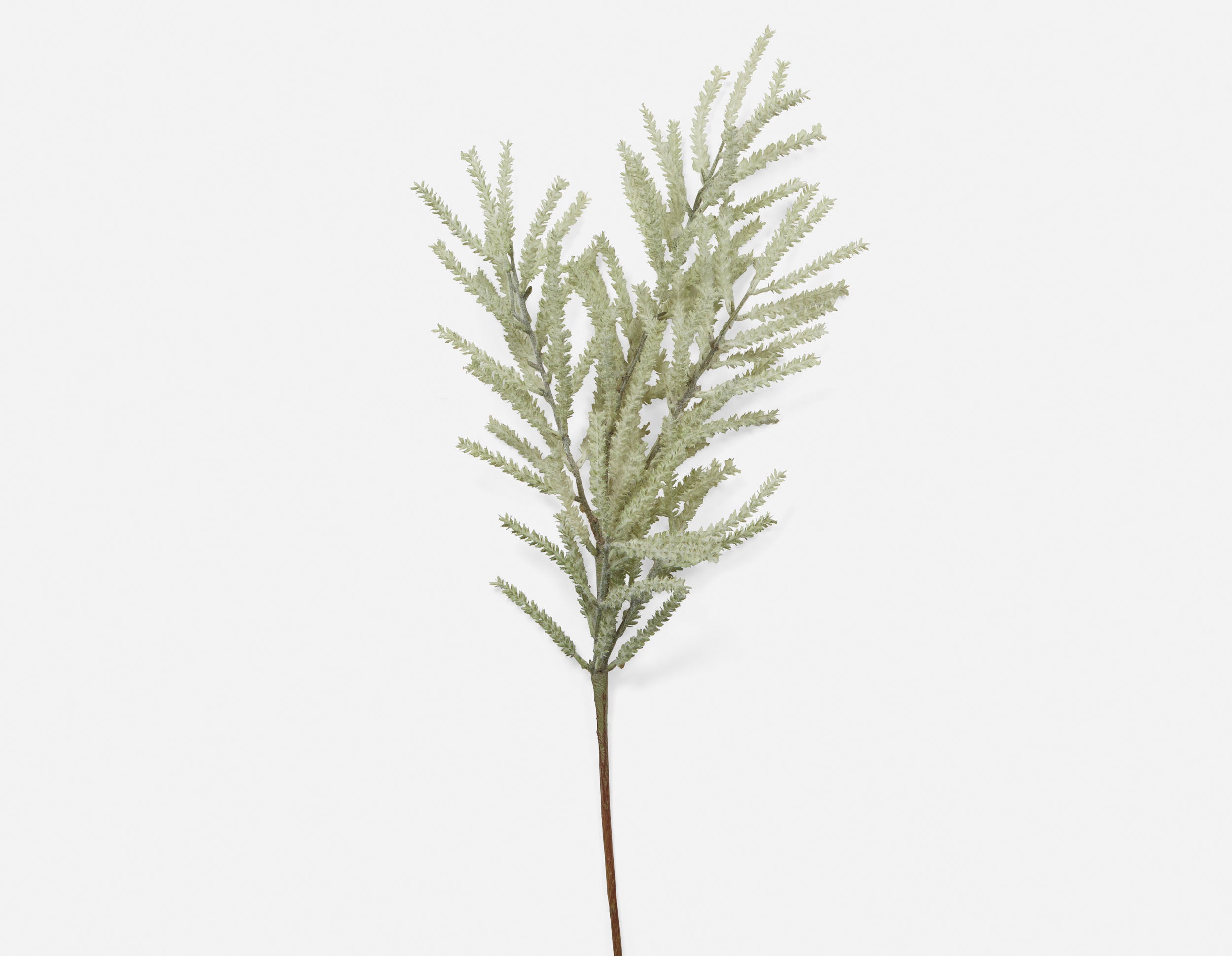 PAMPAS IV plante artificielle 94 cm undefined