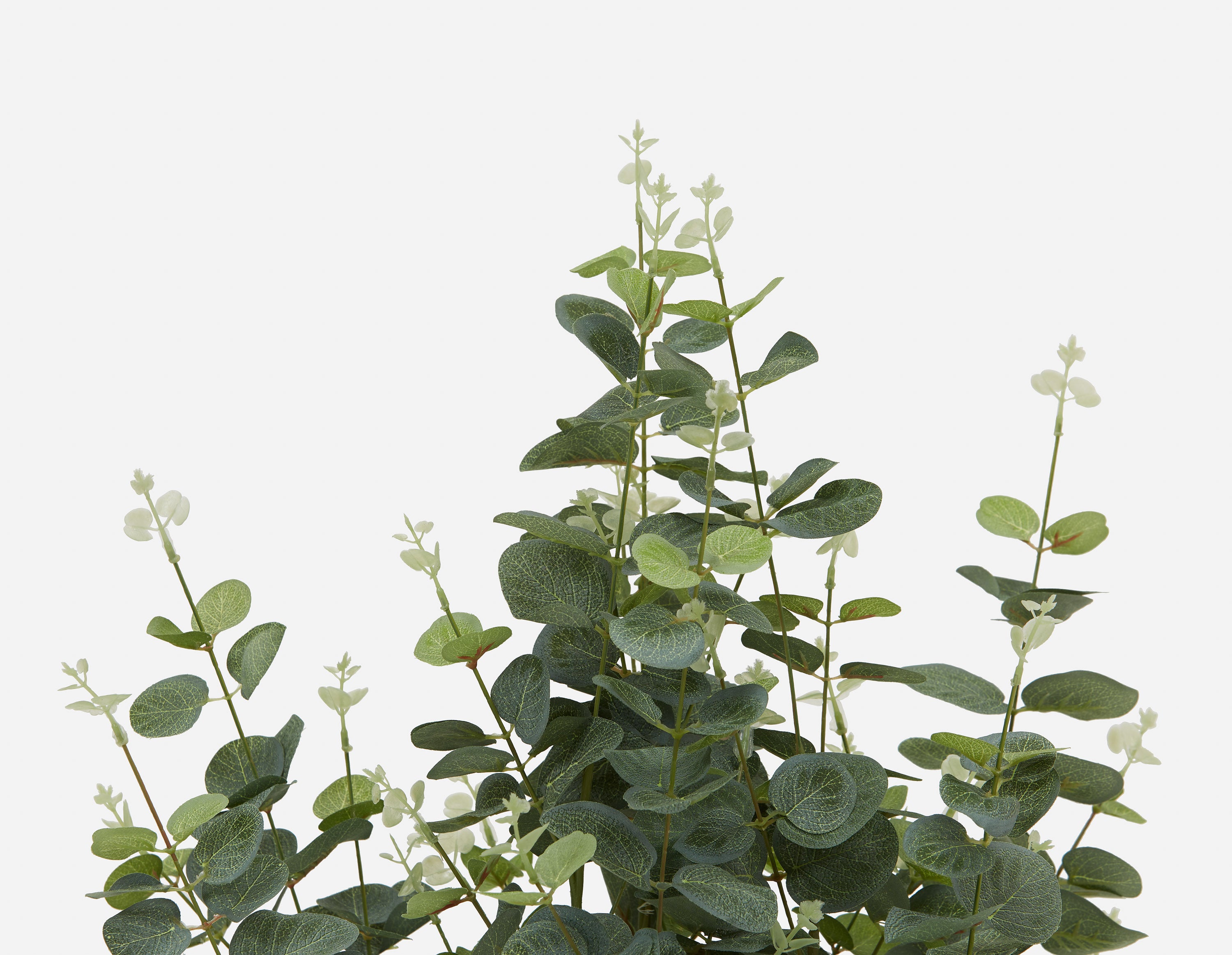 EUCALYPTUS III plante artificielle en pot 95cm undefined