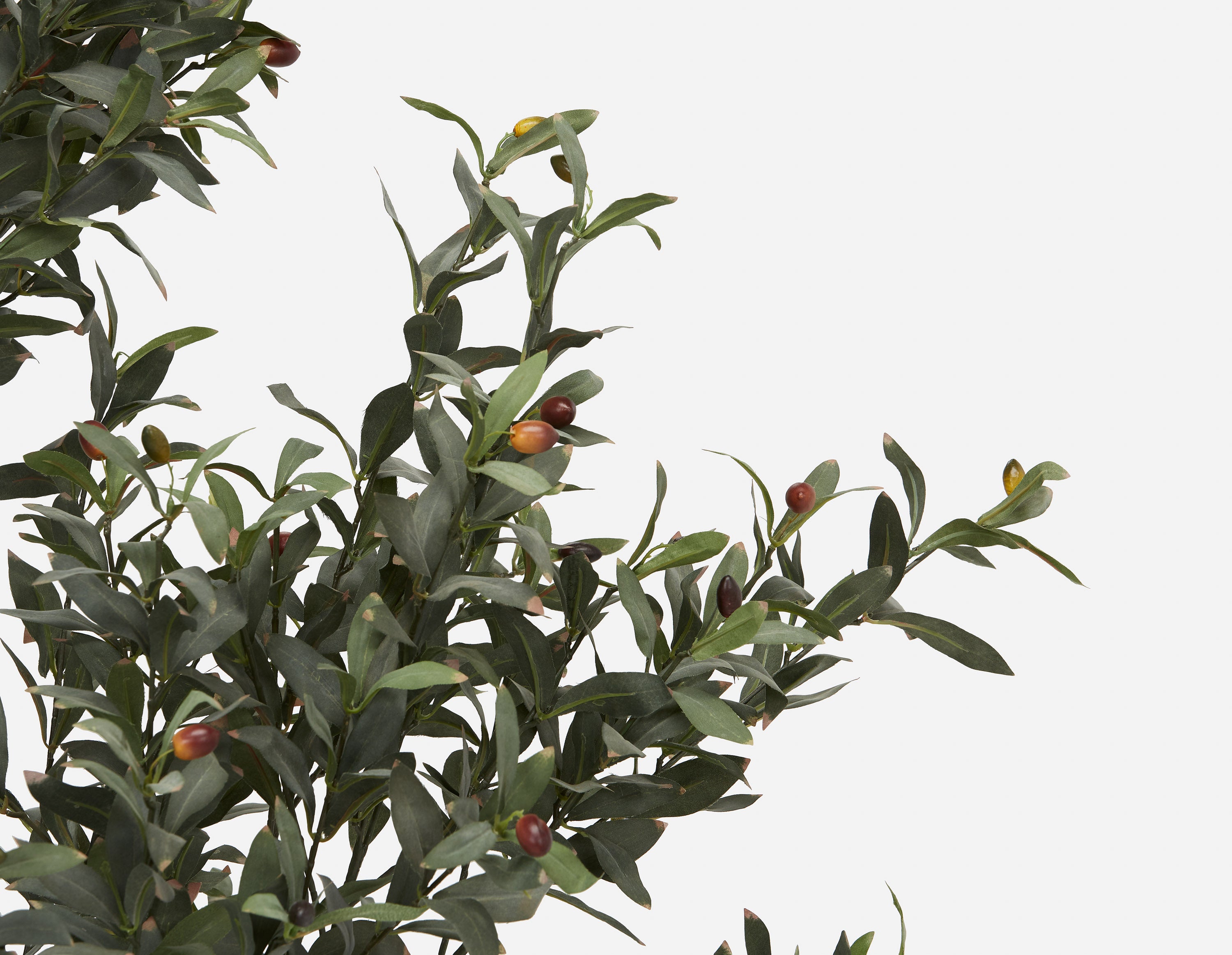 OLIVE II plante artificielle en pot 200cm undefined