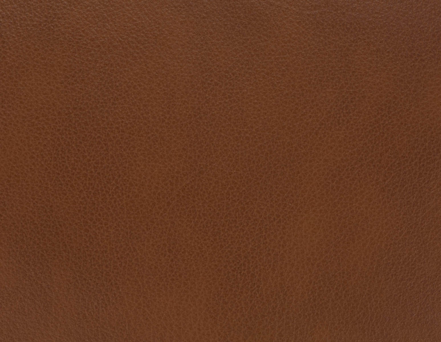 LATONA fauteuil du milieu du siècle moderne 100% cuir undefined