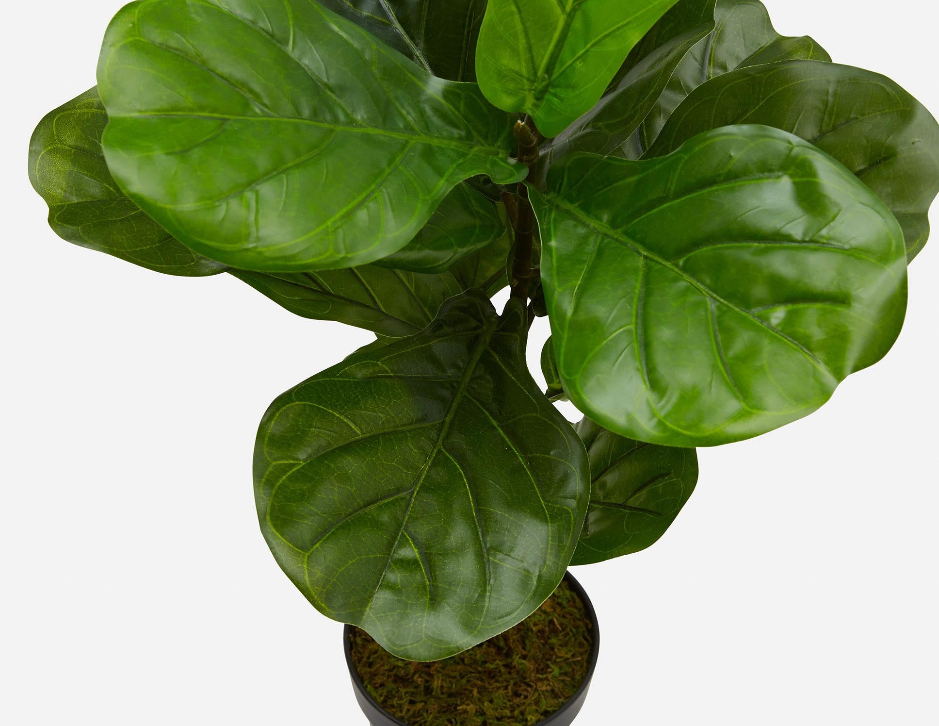 FIDDLE LEAF II plante artificielle en pot 70 cm undefined