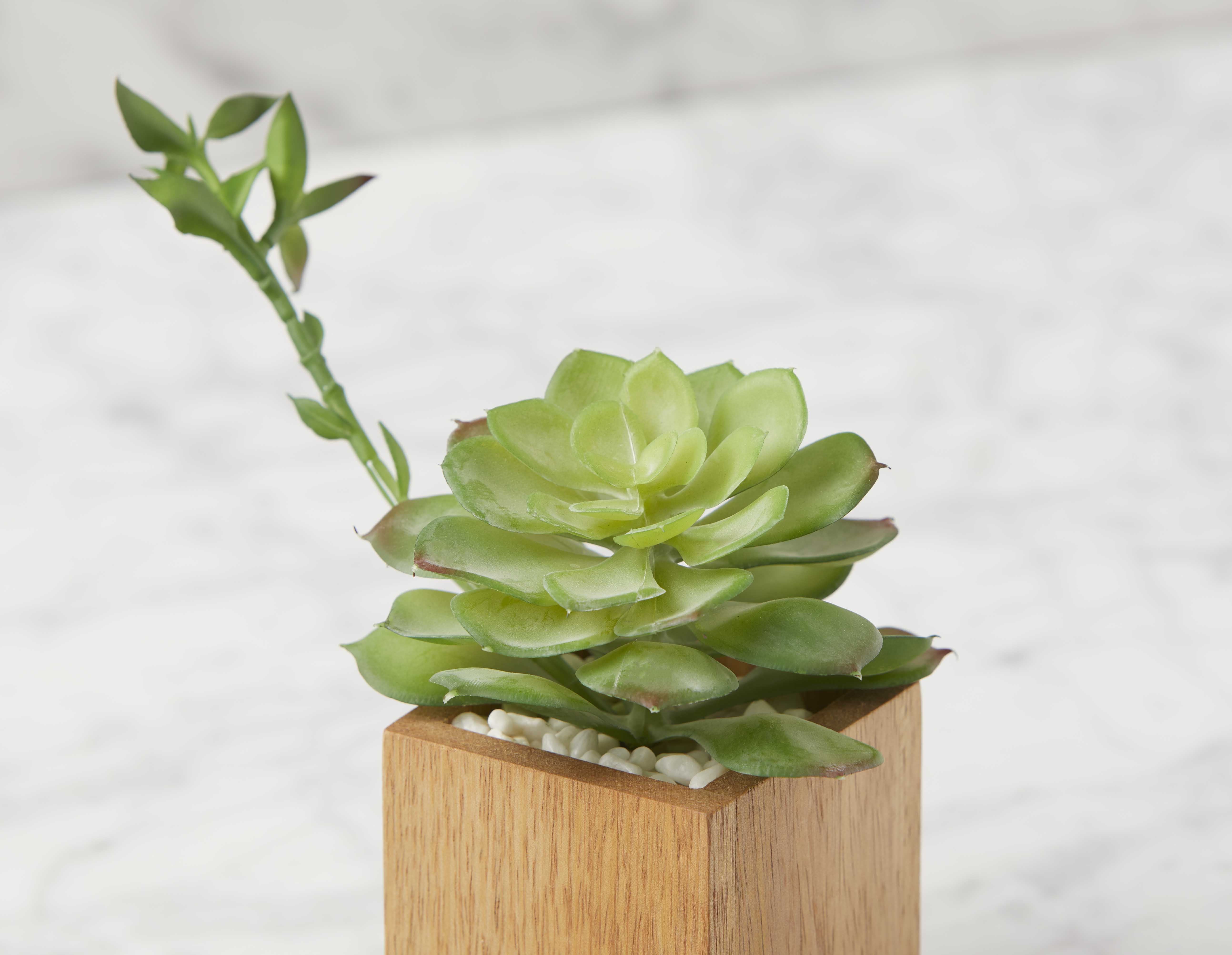 FORET plante artificielle en pot 7 cm undefined