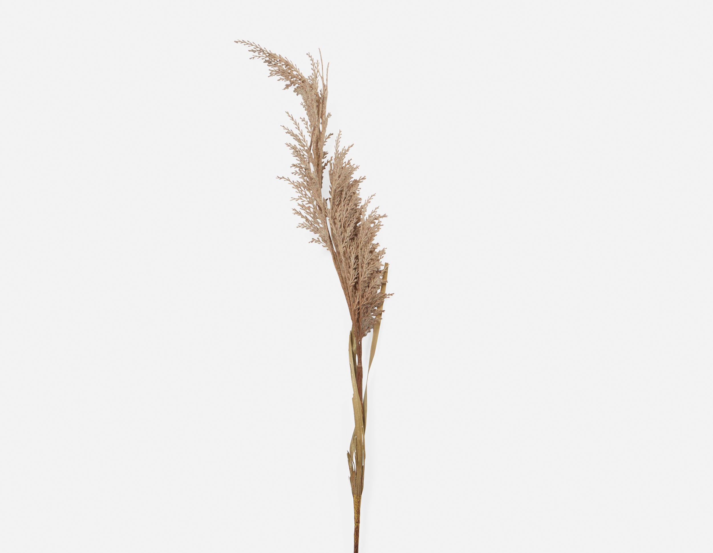 PAMPAS I plante artificielle 107 cm undefined