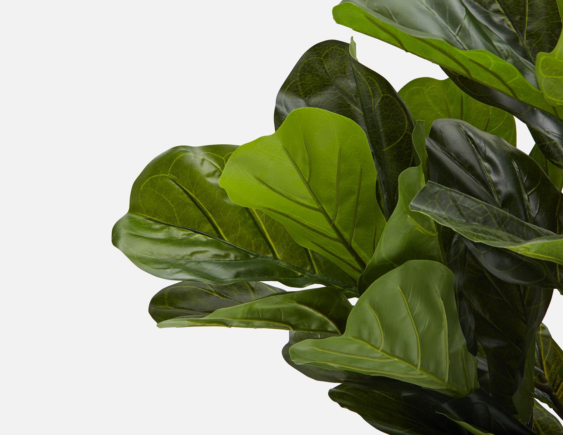 FIDDLE LEAF I plante artificielle en pot 150 cm undefined