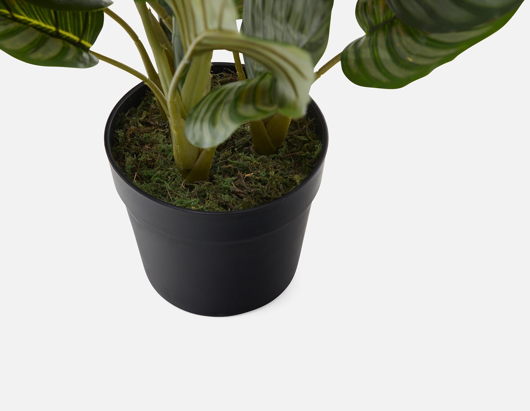 ALLY plante artificielle en pot 55 cm undefined