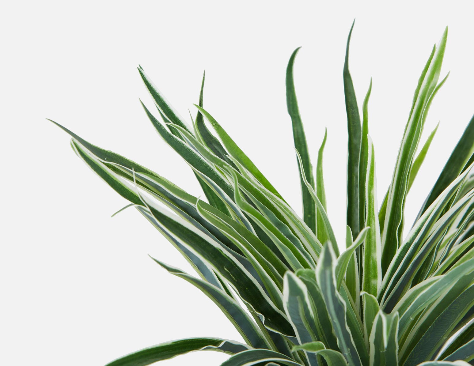 GRASS plante artificielle en pot 30 cm undefined