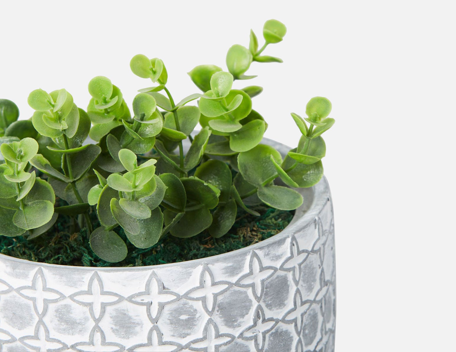 LIVI I plante artificielle en pot 17 cm undefined