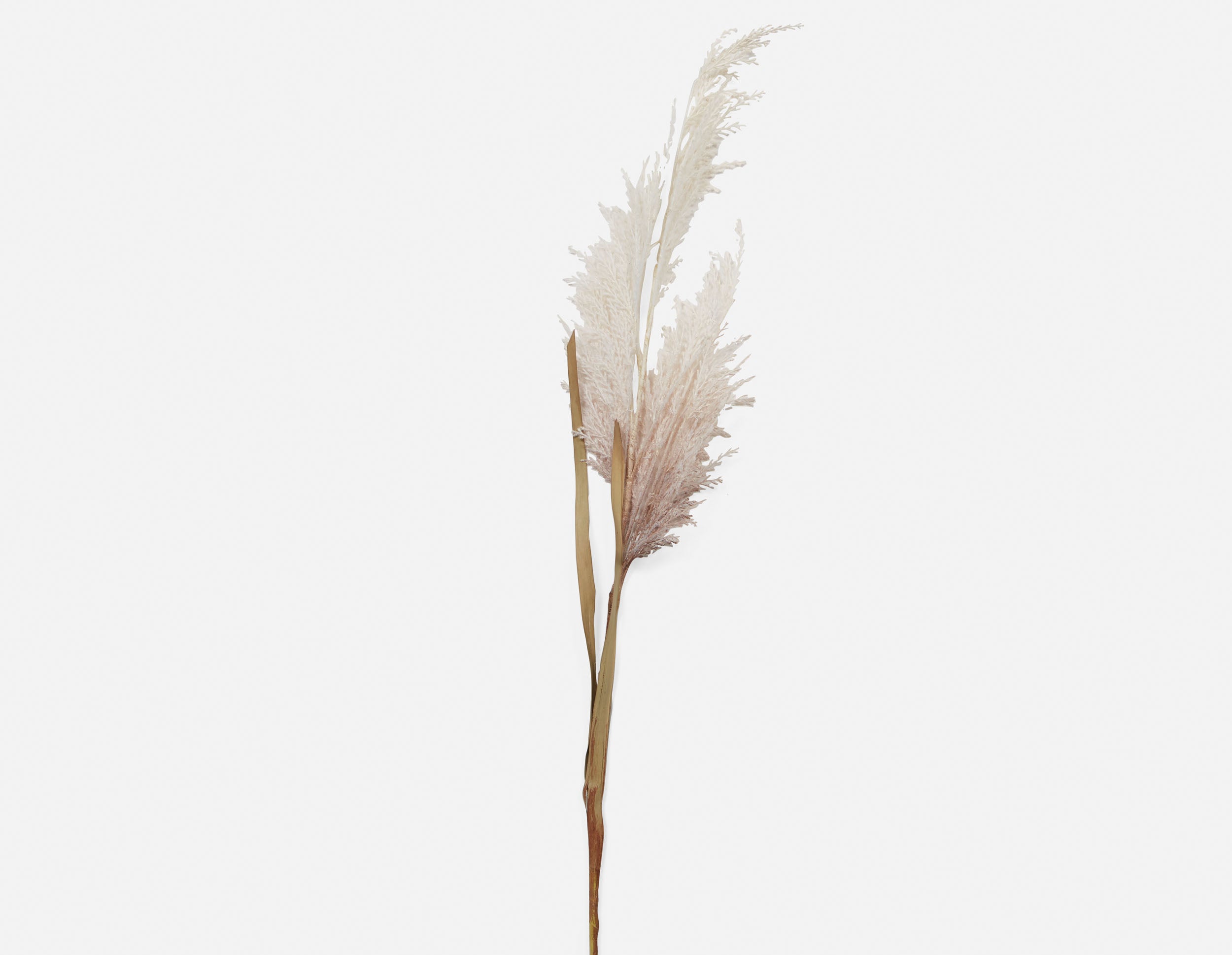 PAMPAS III plante artificielle 107 cm undefined