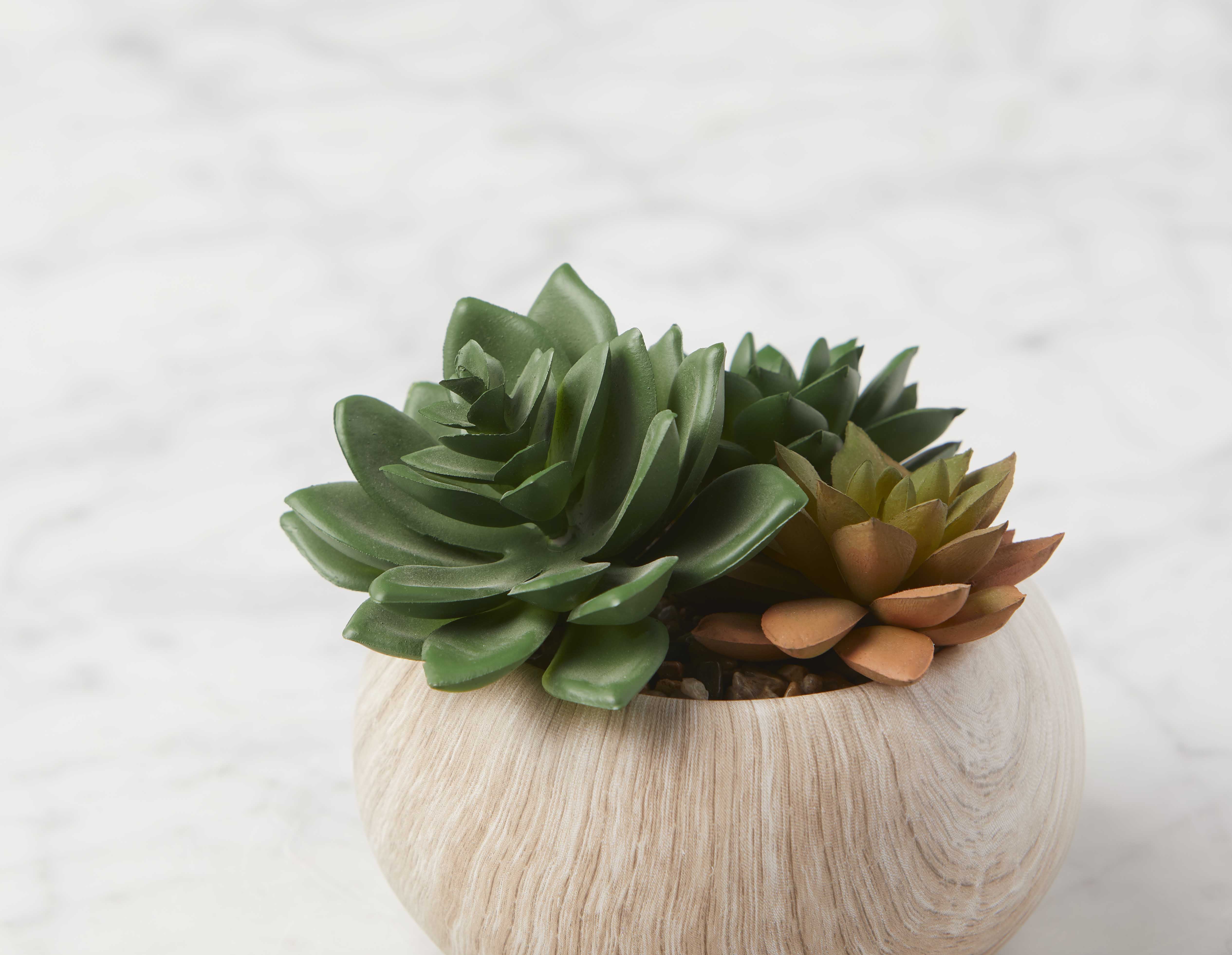 TISHA plante artificielle en pot 13 cm undefined