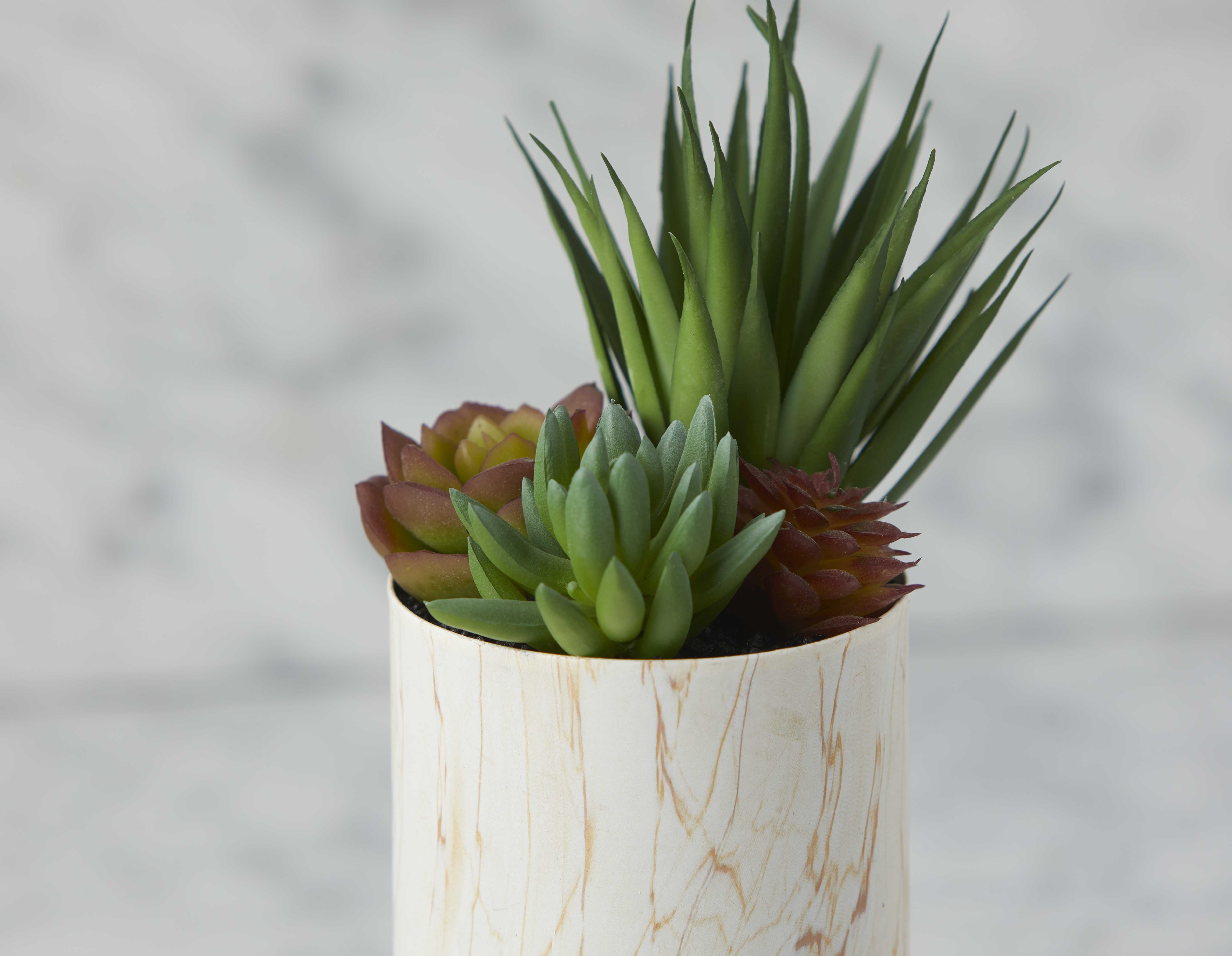 TAWNEY plante artificielle en pot 25 cm undefined
