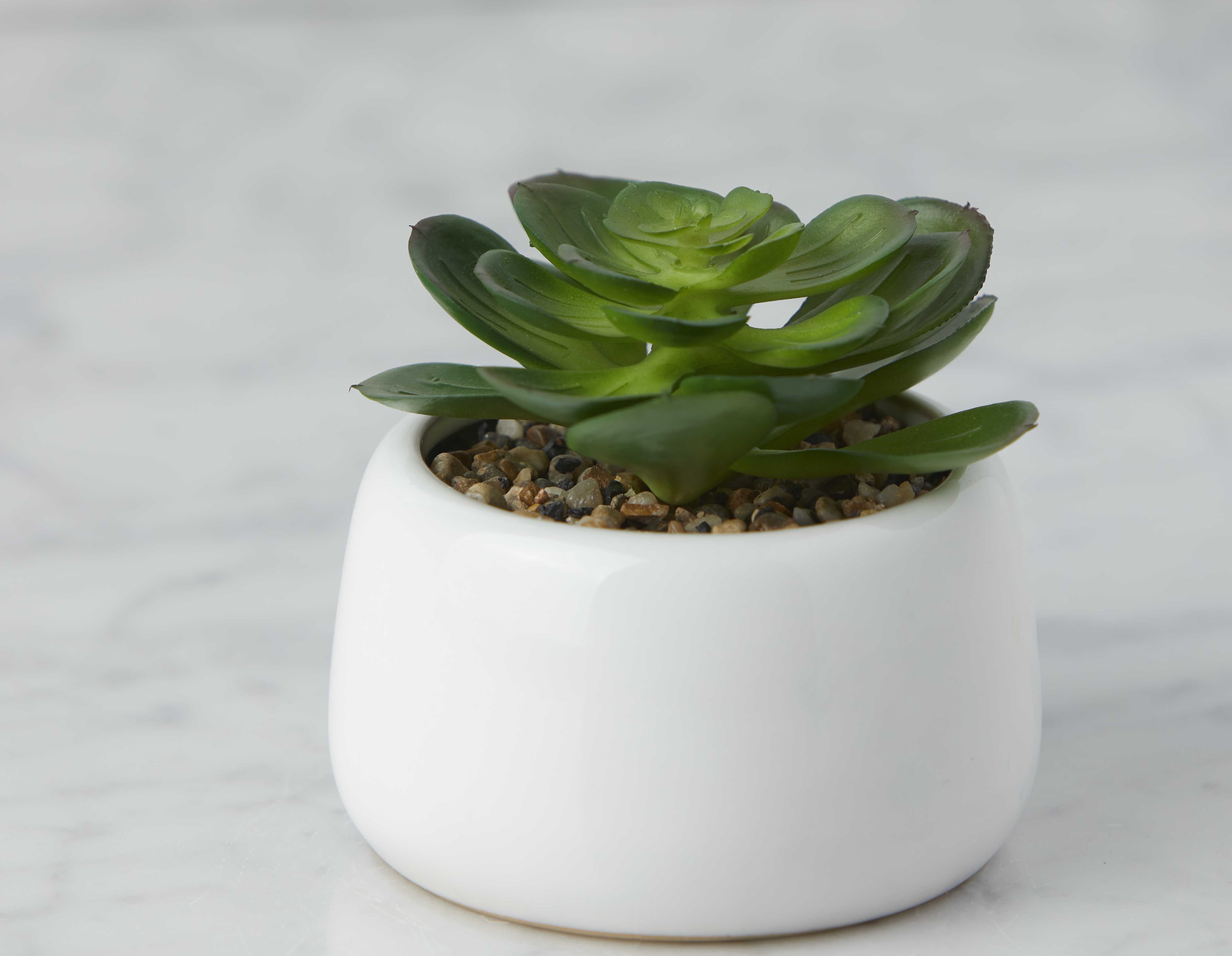 CAORY plante artificielle en pot 11 cm undefined