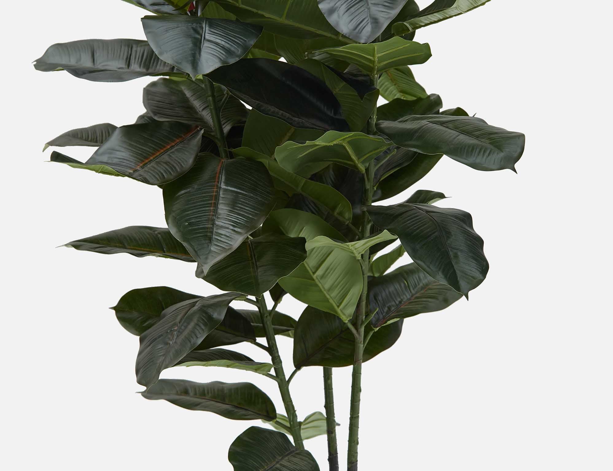 FICUS ELASTICA plante artificielle en pot 130 cm undefined