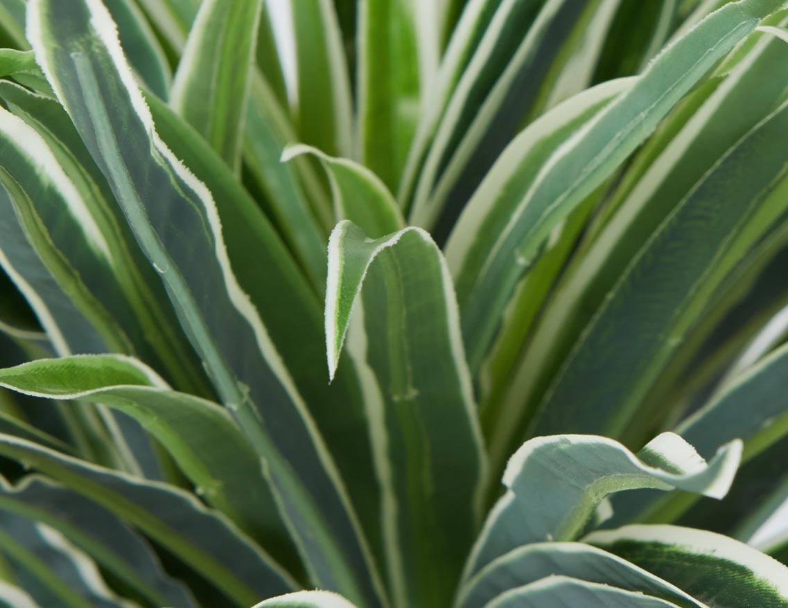 GRASS plante artificielle en pot 30 cm undefined