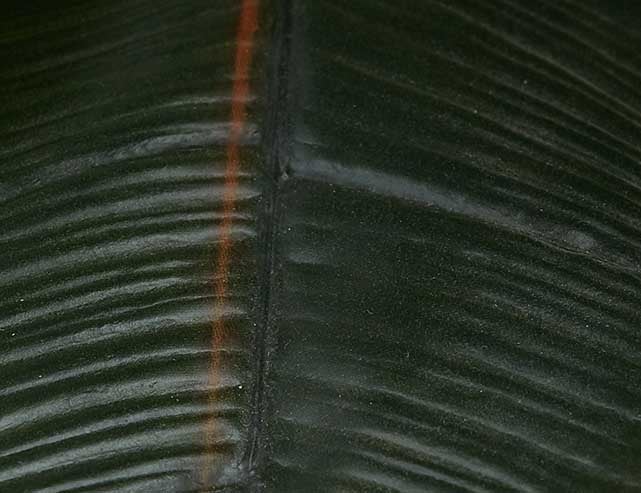 FICUS ELASTICA plante artificielle en pot 130 cm undefined